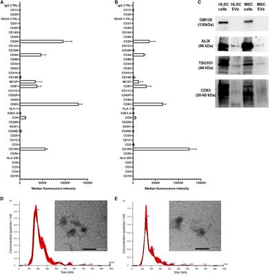 Human Liver Stem Cell-Derived Extracellular Vesicles Target Hepatic Stellate Cells and Attenuate Their Pro-fibrotic Phenotype